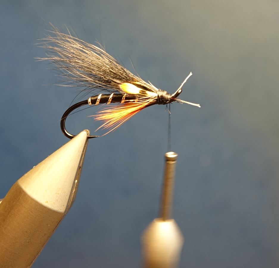 Dovey mouche fly tying salmon saumon truite de mer TDM seatrout squirrel ecureuil eclosion