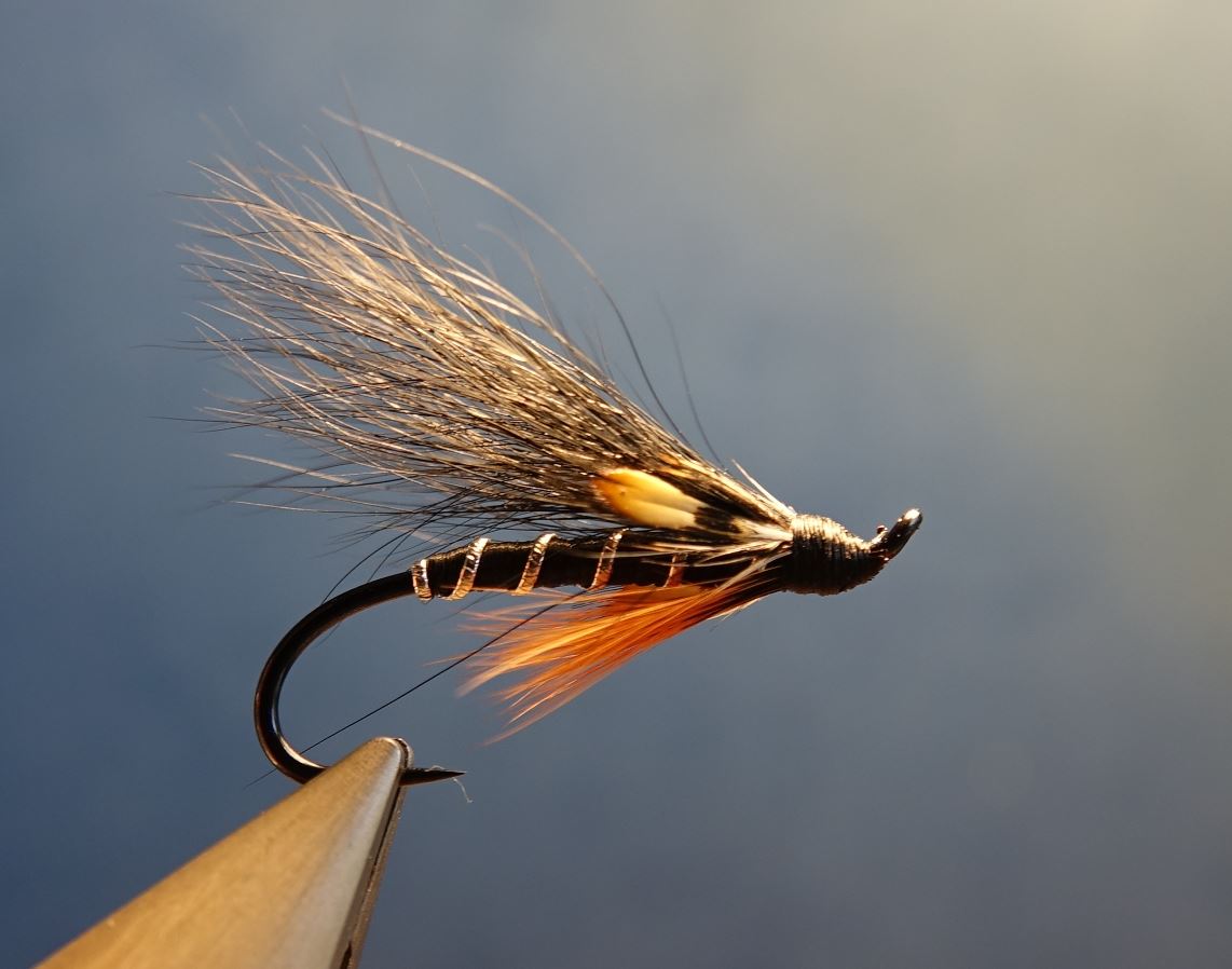 Dovey mouche fly tying salmon saumon truite de mer TDM seatrout squirrel ecureuil eclosion