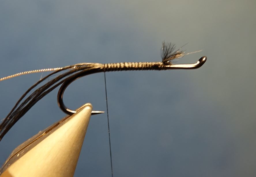 Dovey mouche fly tying salmon saumon truite de mer TDM seatrout squirrel ecureuil eclosion