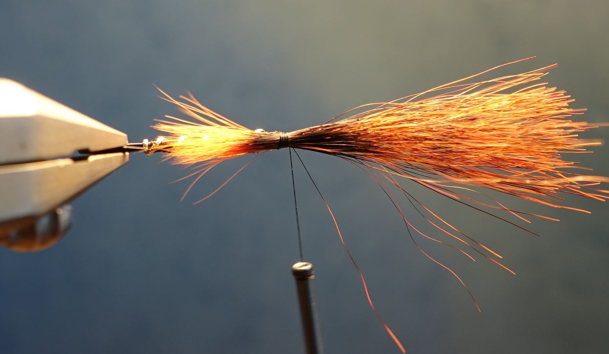 Dovey mouche fly tying salmon saumon truite de mer TDM seatrout squirrel ecureuil eclosion