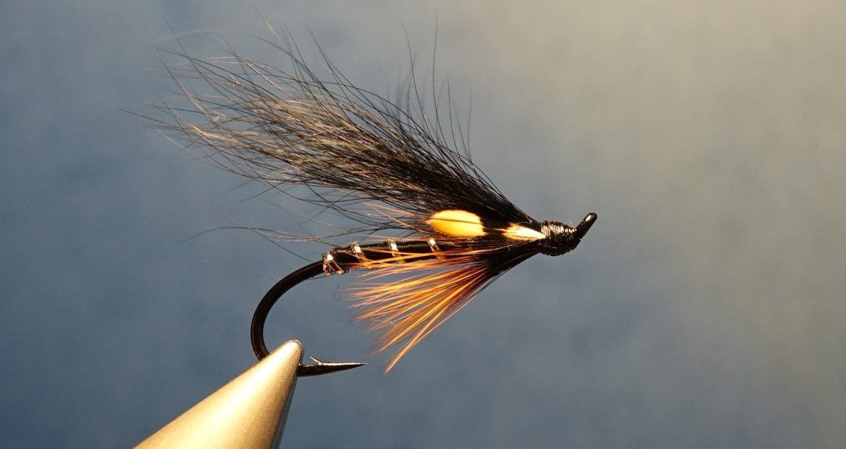 Dovey mouche fly tying salmon saumon truite de mer TDM seatrout squirrel ecureuil eclosion