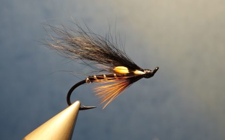 Dovey mouche fly tying salmon saumon truite de mer TDM seatrout squirrel ecureuil eclosion