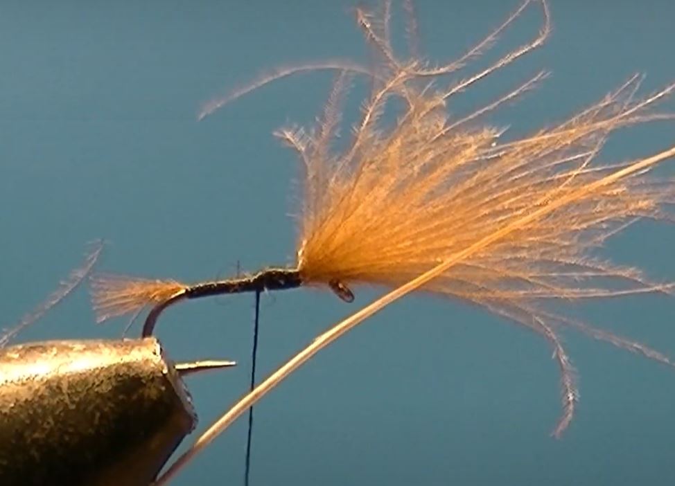 Emergente CDC mouche fly tying eclosion