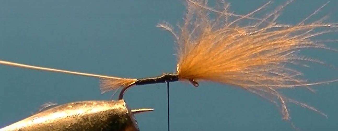 Emergente CDC mouche fly tying eclosion