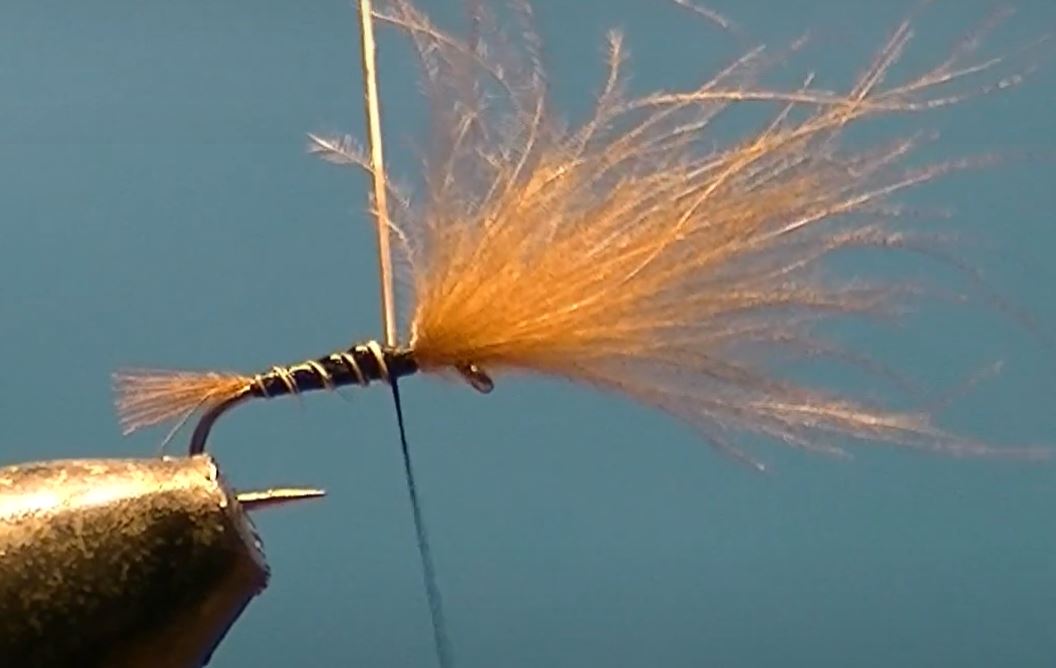 Emergente CDC mouche fly tying eclosion