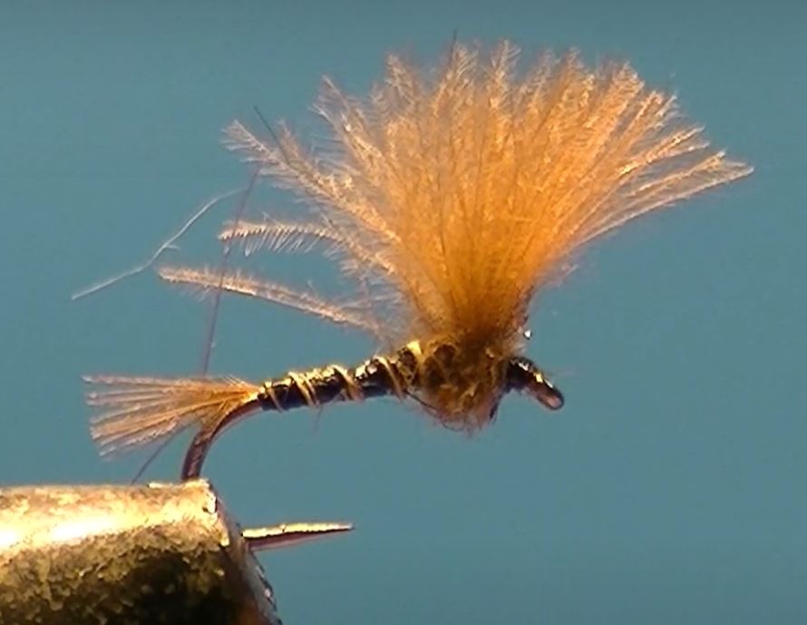 Emergente CDC mouche fly tying eclosion