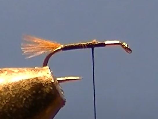 Emergente CDC mouche fly tying eclosion