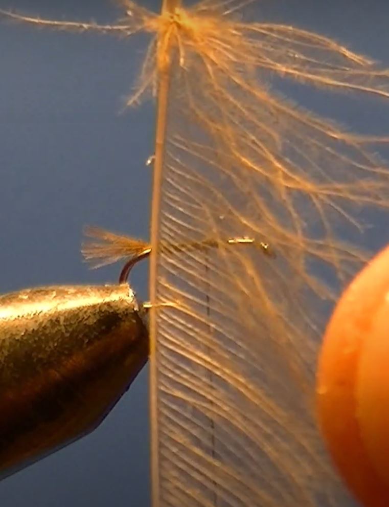 Emergente CDC mouche fly tying eclosion