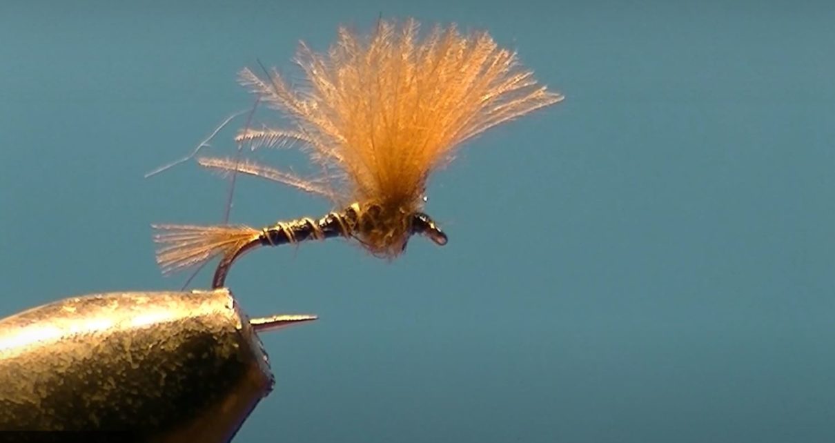 Emergente CDC mouche fly tying eclosion