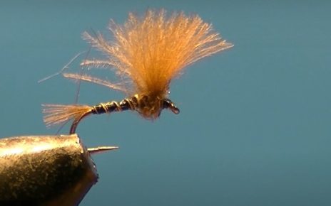 Emergente CDC mouche fly tying eclosion