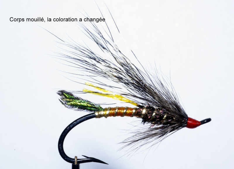 Rusty rat mouche fly salmon saumon fly tying eclosion