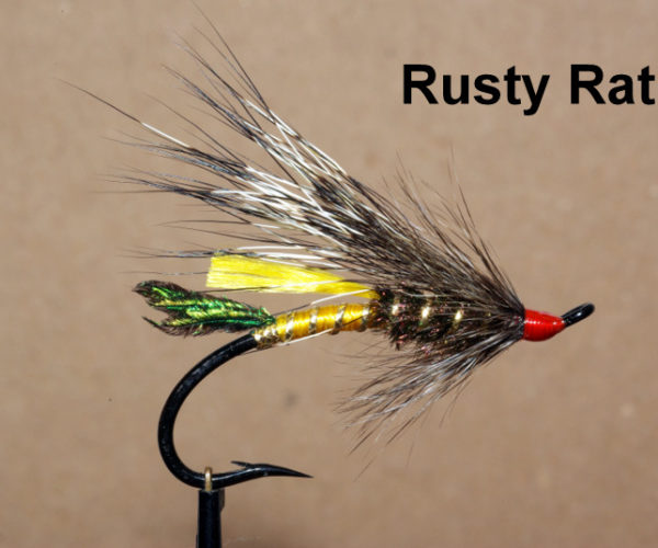 Rusty rat mouche fly salmon saumon fly tying eclosion