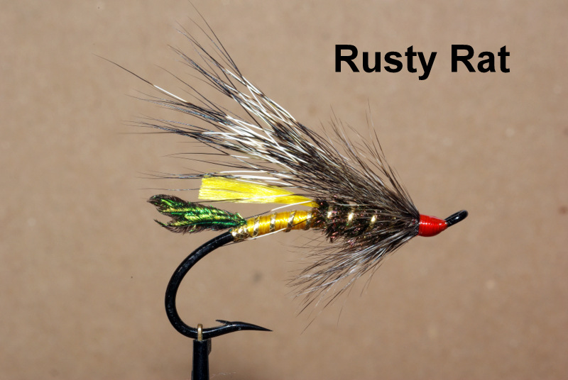 Rusty rat mouche fly salmon saumon fly tying eclosion