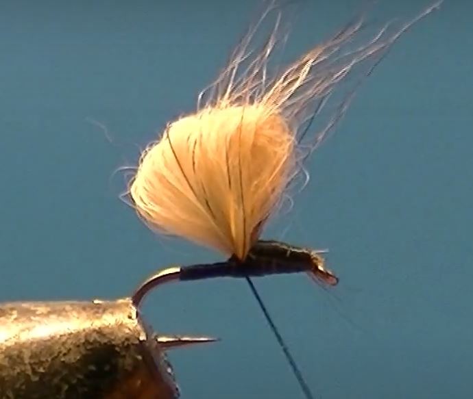 Bubble lièvre hare mouche fly tying eclosion