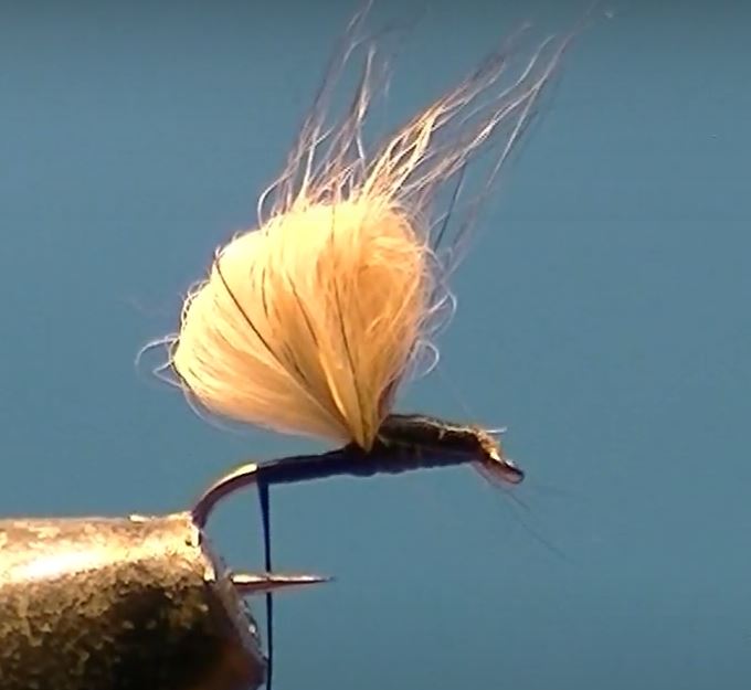 Bubble lièvre hare mouche fly tying eclosion