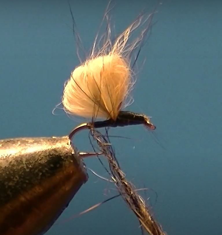 Bubble lièvre hare mouche fly tying eclosion