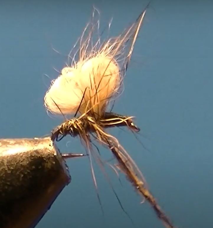 Bubble lièvre hare mouche fly tying eclosion