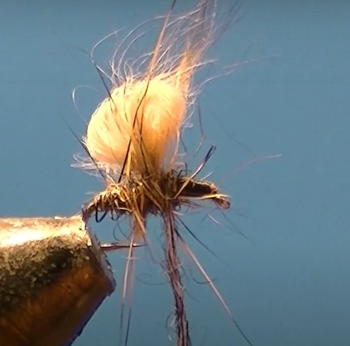 Bubble lièvre hare mouche fly tying eclosion