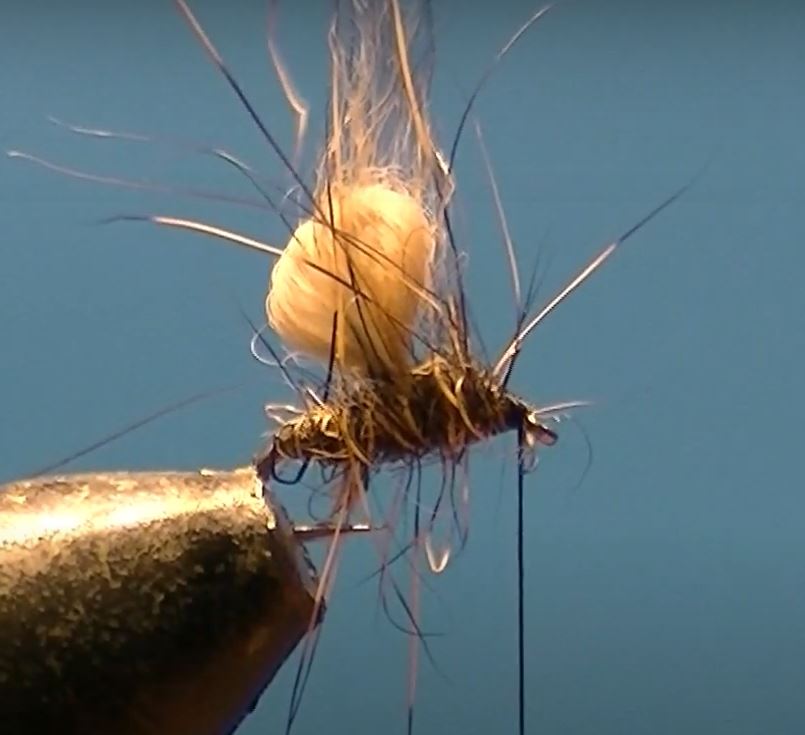 Bubble lièvre hare mouche fly tying eclosion