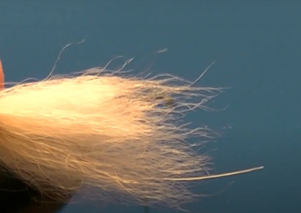 Bubble lièvre hare mouche fly tying eclosion