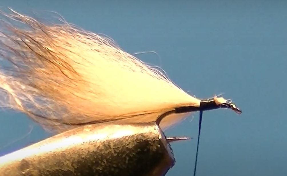 Bubble lièvre hare mouche fly tying eclosion