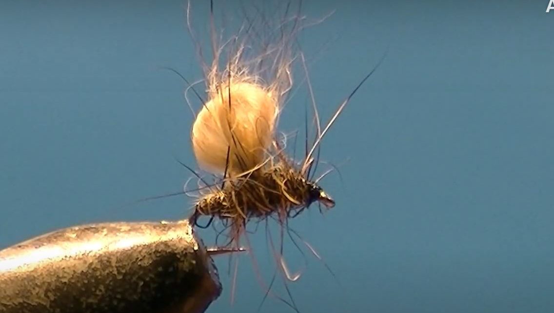 Bubble lièvre hare mouche fly tying eclosion