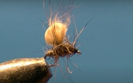 Bubble lièvre hare mouche fly tying eclosion