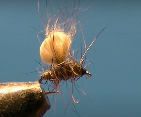 Bubble lièvre hare mouche fly tying eclosion
