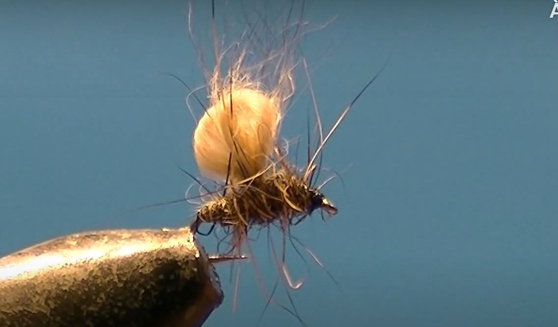 Bubble lièvre hare mouche fly tying eclosion 