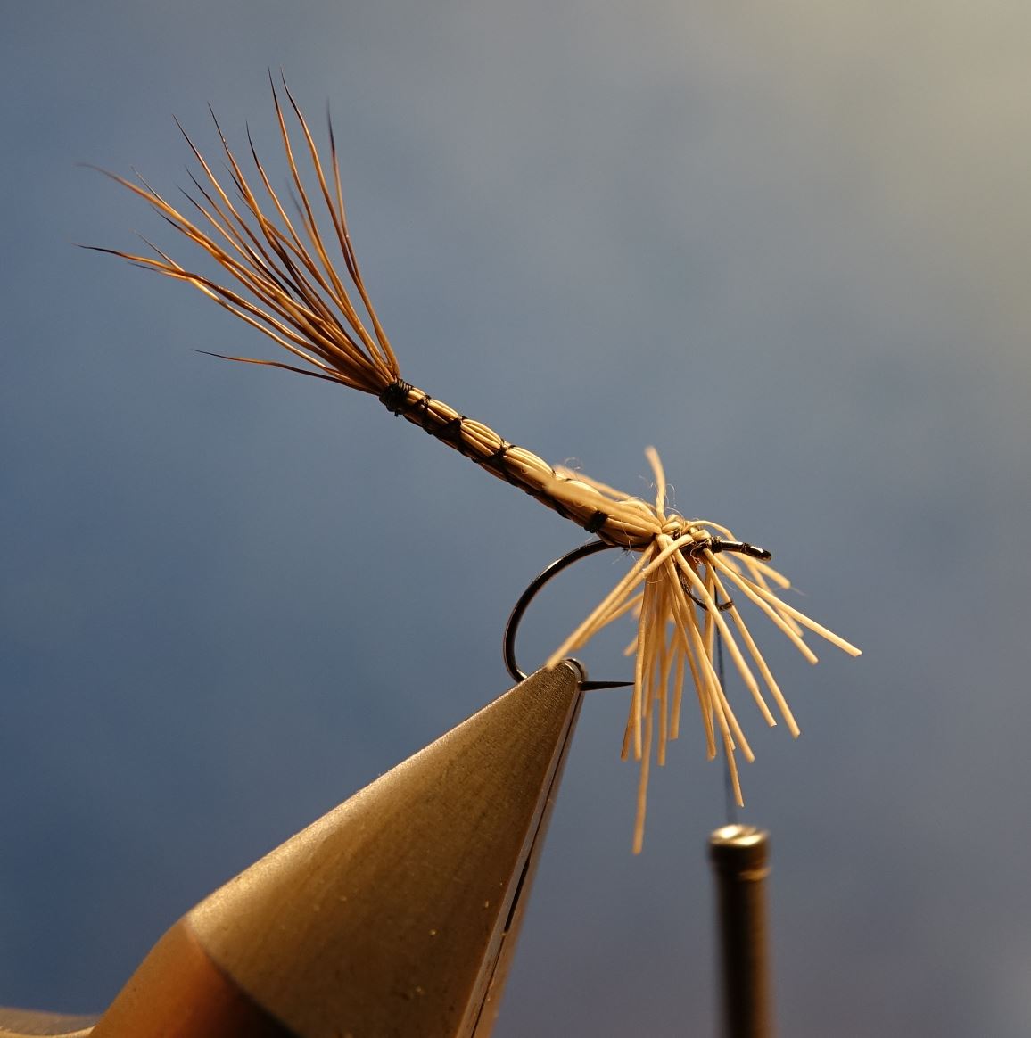 Marche brown chevreuil corps détaché comparadum mouche fly tying eclosion