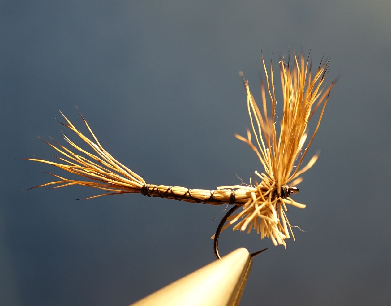 Marche brown chevreuil corps détaché comparadum mouche fly tying eclosion