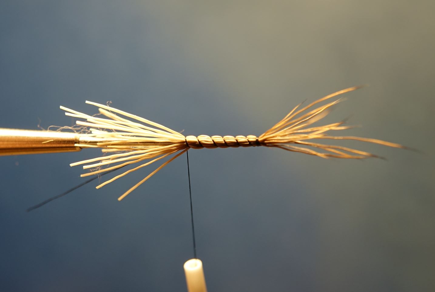 Marche brown chevreuil corps détaché comparadum mouche fly tying eclosion