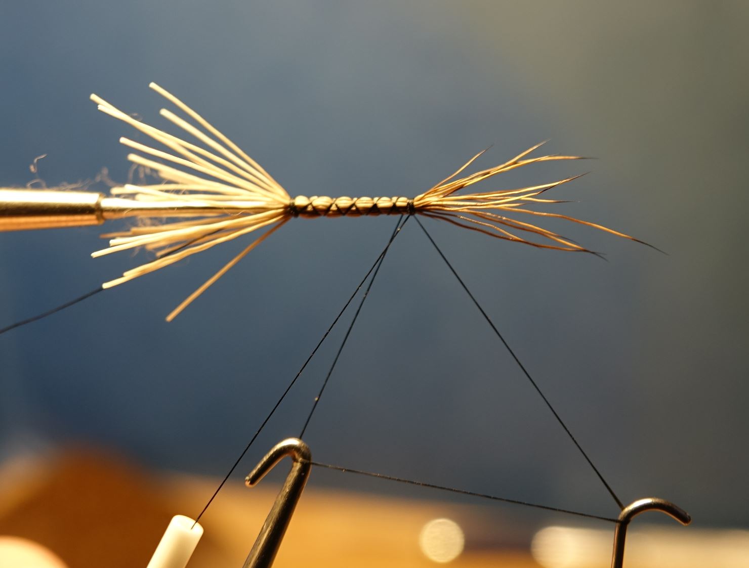 Marche brown chevreuil corps détaché comparadum mouche fly tying eclosion