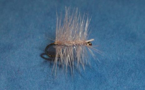 Palmer mouche fly tying eclsoion