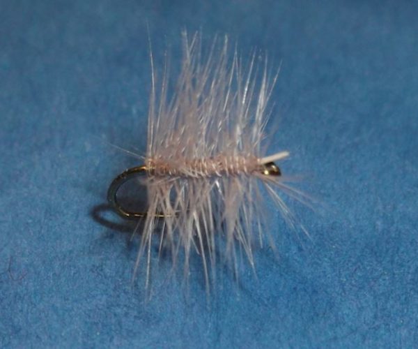 Palmer mouche fly tying eclsoion