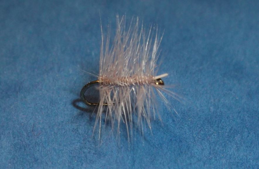 Palmer mouche fly tying eclsoion