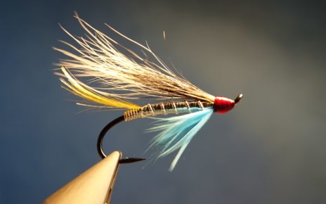 Silver blue hairwing mouche fly saumon salmon squirrel ecureuil eclosion