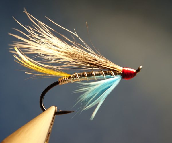 Silver blue hairwing mouche fly saumon salmon squirrel ecureuil eclosion