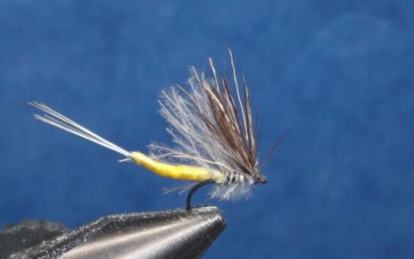 corps détaché éphémère mouche fly tying eclosion