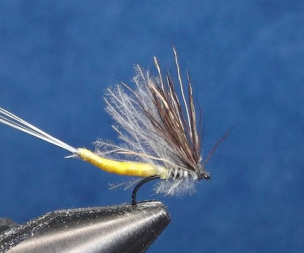 corps détaché éphémère mouche fly tying eclosion