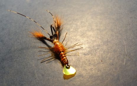 Ecrevisse craw crayfish fly tying mouche eclosion mis en avant