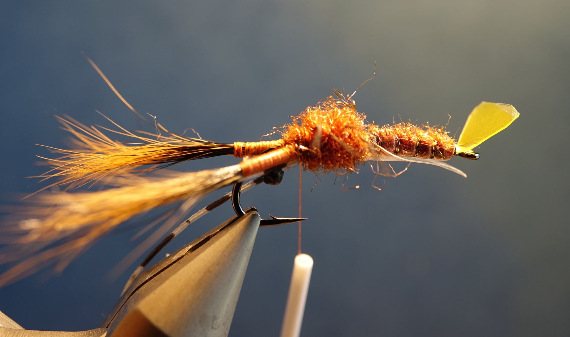 Ecrevisse craw crayfish fly tying mouche eclosion cephalothorax