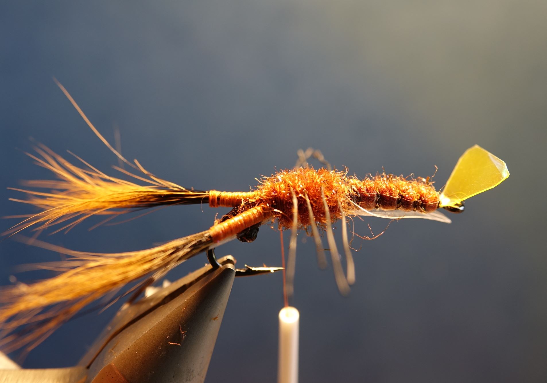 Ecrevisse craw crayfish fly tying mouche eclosion cephalothorax