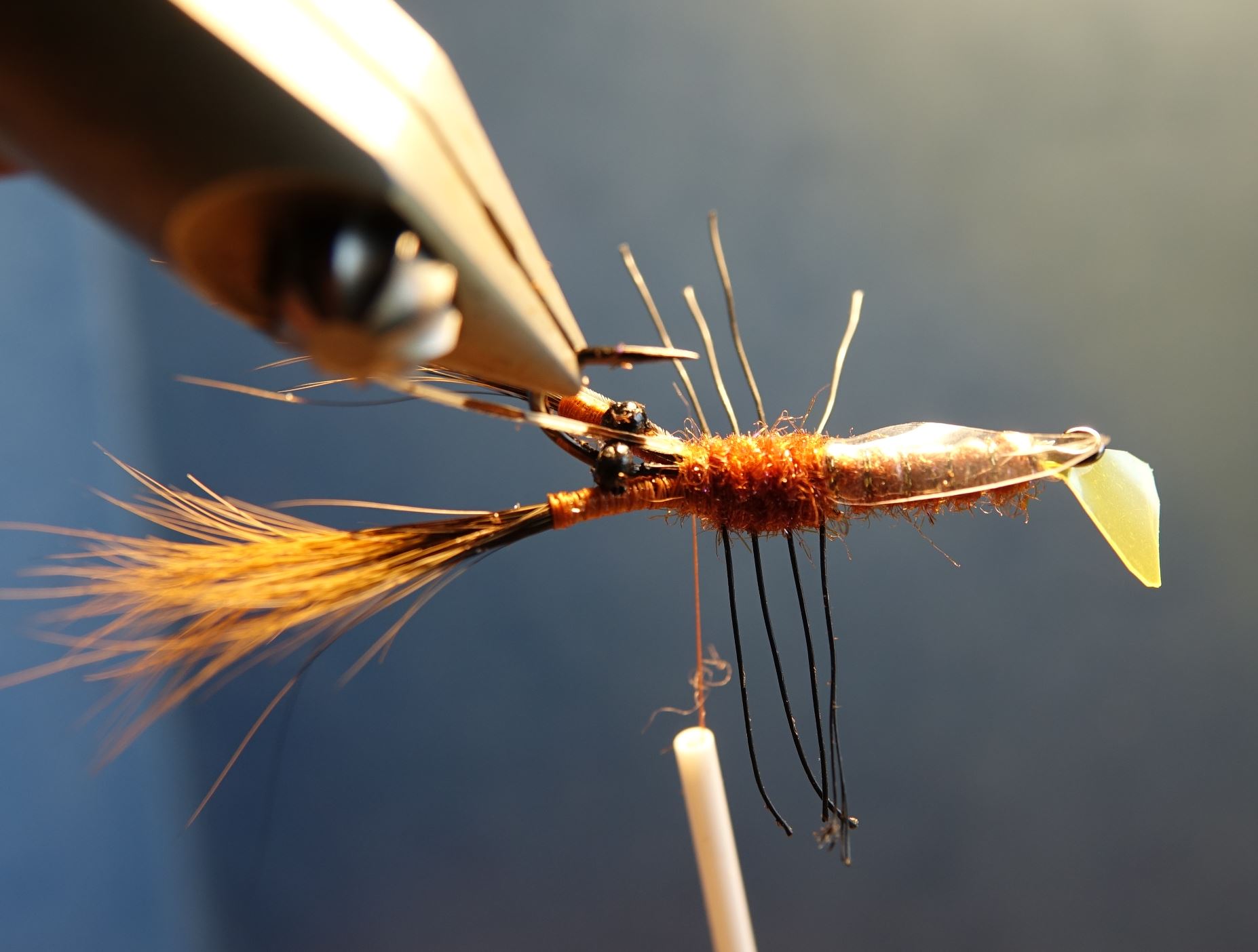 Ecrevisse craw crayfish fly tying mouche eclosion cephalothorax