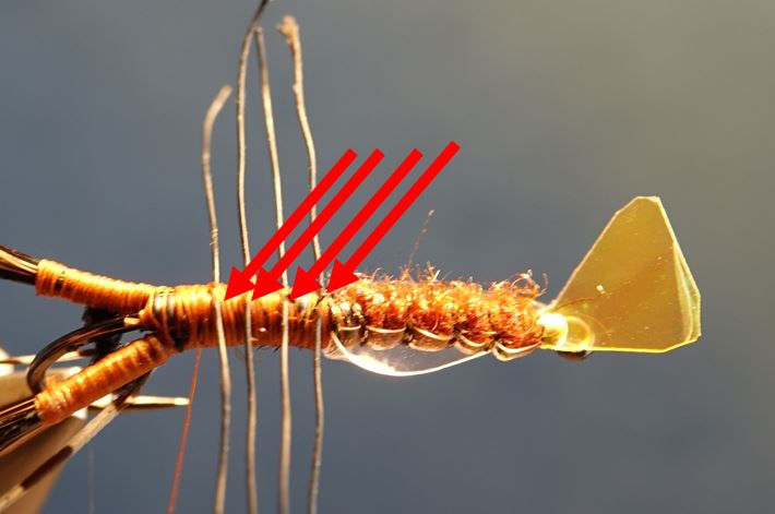 Ecrevisse craw crayfish fly tying mouche eclosion cephalothorax