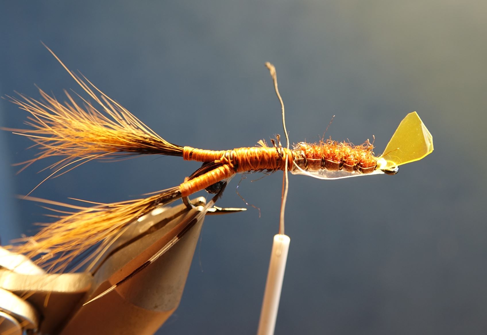 Ecrevisse craw crayfish fly tying mouche eclosion cephalothorax