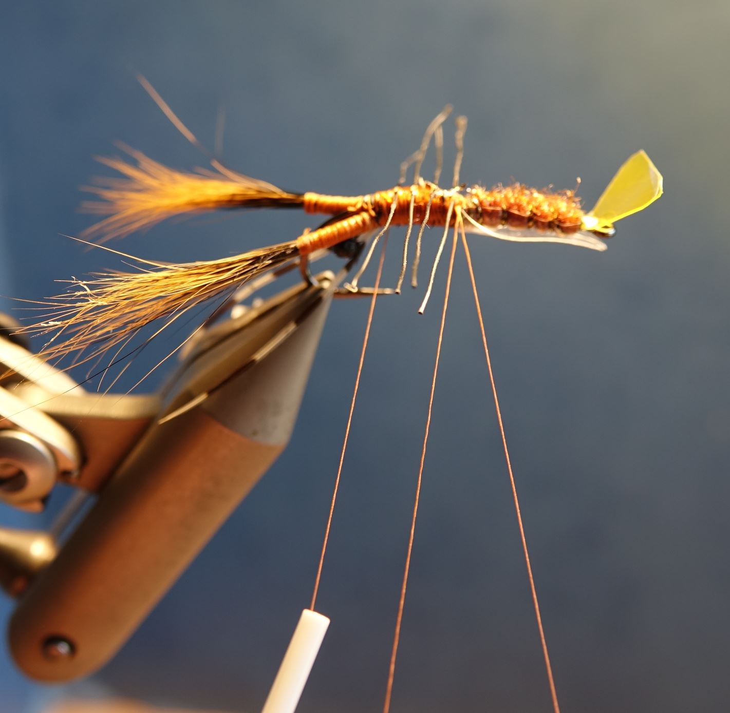 Ecrevisse craw crayfish fly tying mouche eclosion cephalothorax