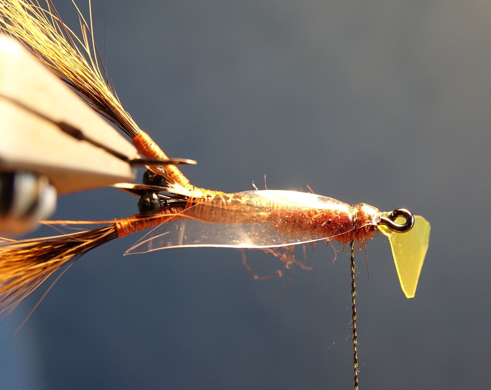 Ecrevisse craw crayfish fly tying mouche eclosion abdomen