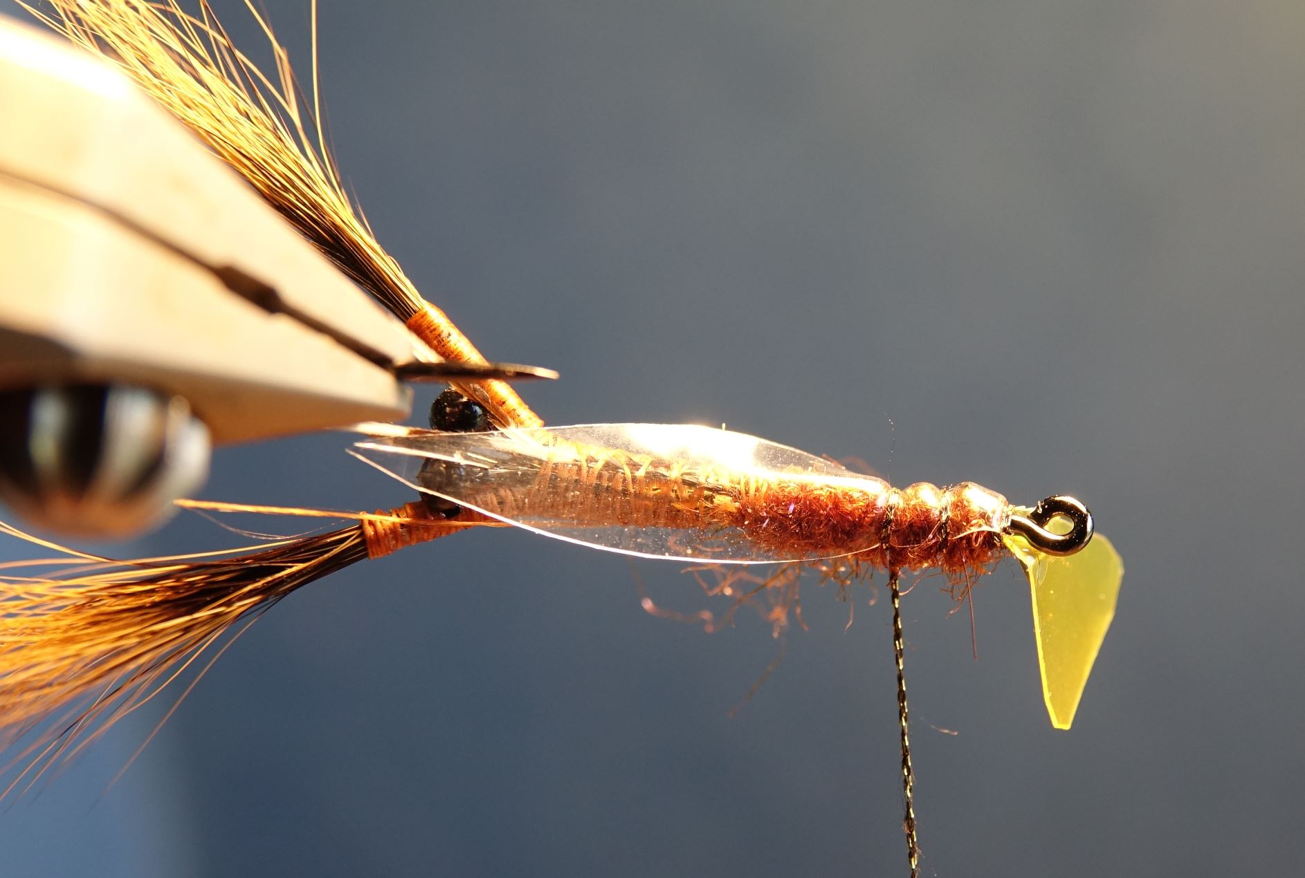 Ecrevisse craw crayfish fly tying mouche eclosion abdomen