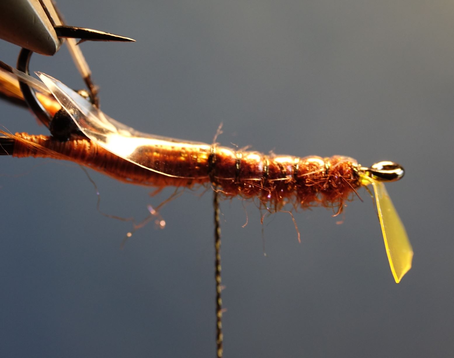 Ecrevisse craw crayfish fly tying mouche eclosion abdomen